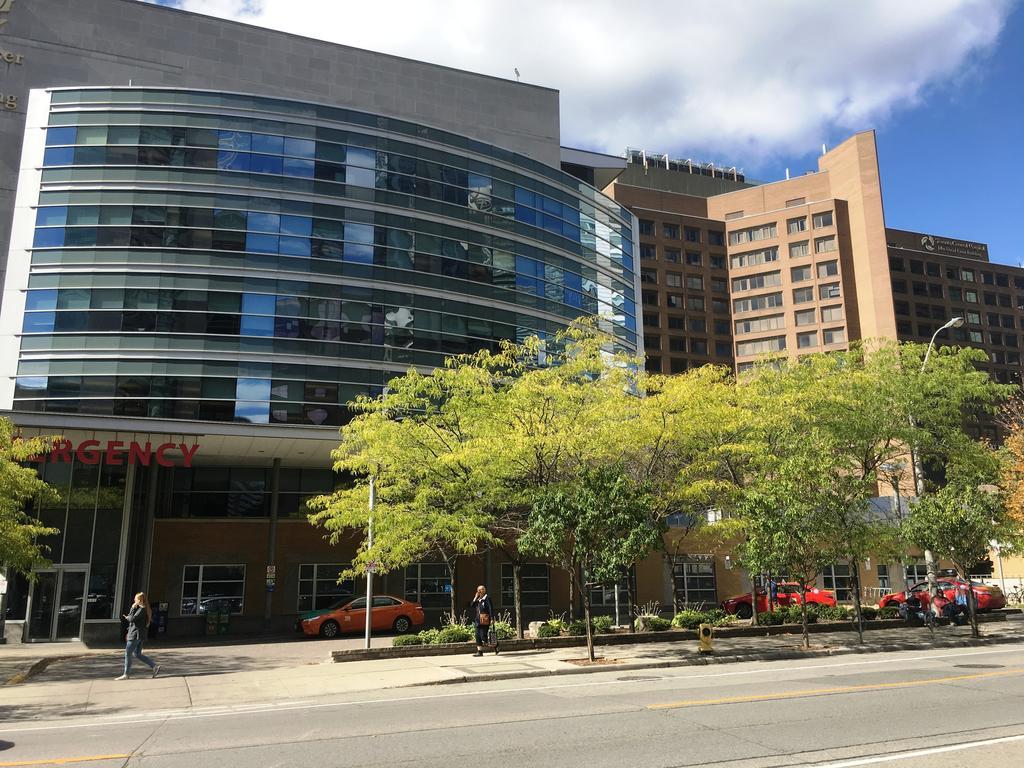 Canada Suites On Bay, Established 1998 Toronto Exterior foto